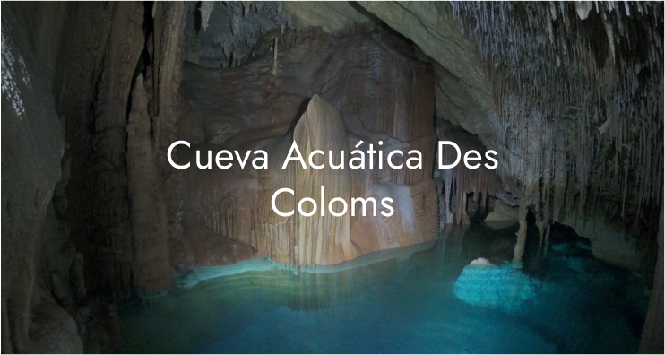Cueva Image