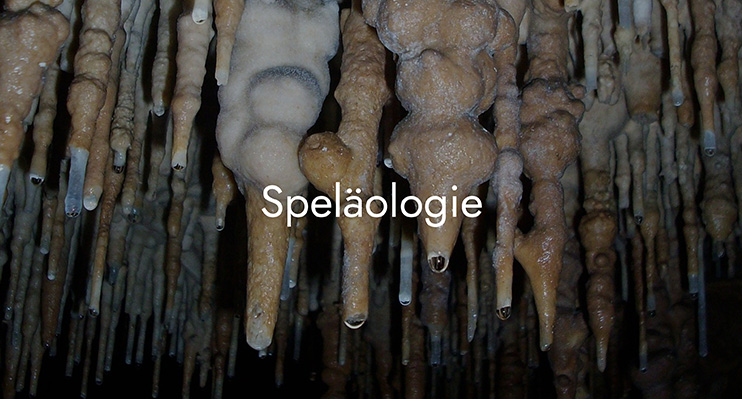 Speology Image